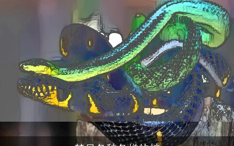 梦见各种各样的蛇