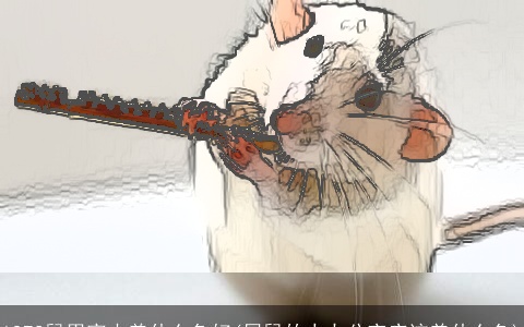 1972鼠男家中养什么鱼好(属鼠的人办公室应该养什么鱼)