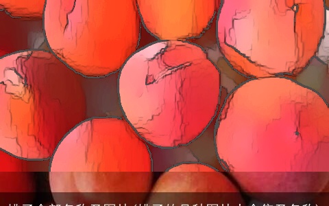 桃子全部名称及图片(桃子的品种图片大全集及名称)