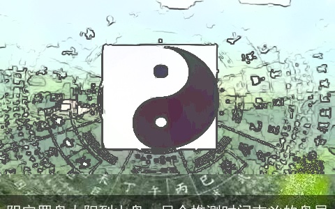 阴宅罗盘太阳到山盘，另个推测时间吉凶的盘层