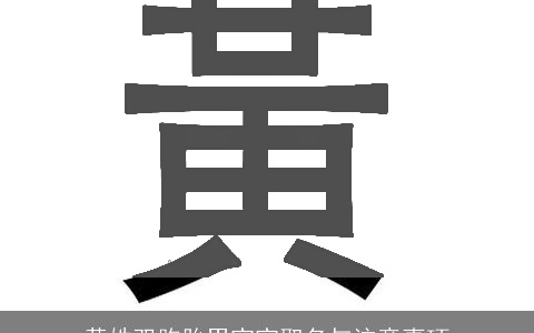 黄姓双胞胎男宝宝取名与注意事项