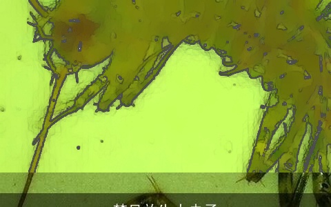 梦见放生大虫子