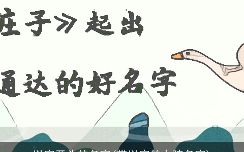 以字开头的名字(带以字的女孩名字)