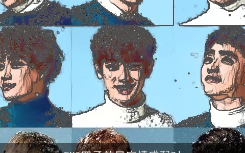 EXO四子的星座情感配对