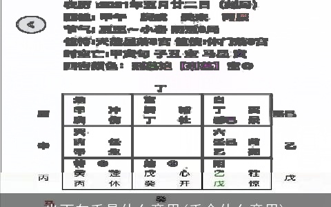 坐丙向壬是什么意思(壬命什么意思)