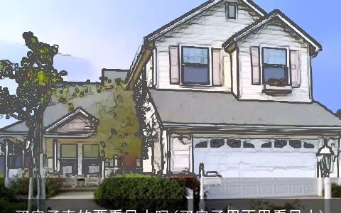 买房子真的要看风水吗(买房子用不用看风水)