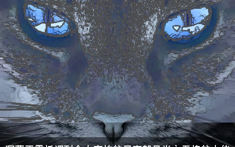 深藏不露低调到令人害怕的星座却是当之无愧的大佬