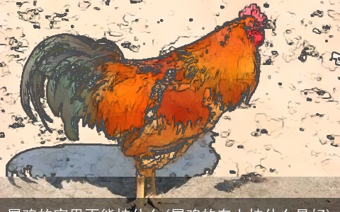 属鸡的家里不能挂什么(属鸡的车上挂什么最好)