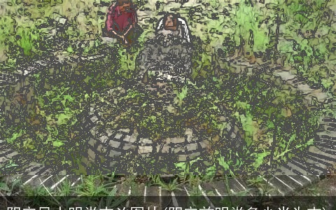 阴宅风水明堂吉凶图片(阴宅前明堂多少米为吉)