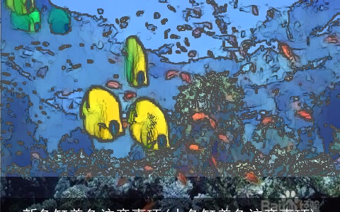 新鱼缸养鱼注意事项(大鱼缸养鱼注意事项)