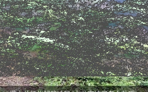 灌木丛能化解路冲吗(办公室冲路怎么处理)