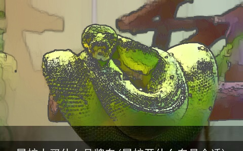 属蛇人买什么品牌车(属蛇开什么车最合适)