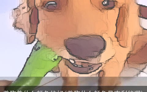 养狗养什么颜色的好(养狗什么颜色最吉利能避)