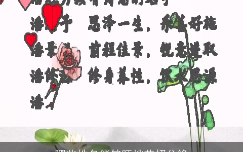 哪些姓名能够旺桃花招分缘