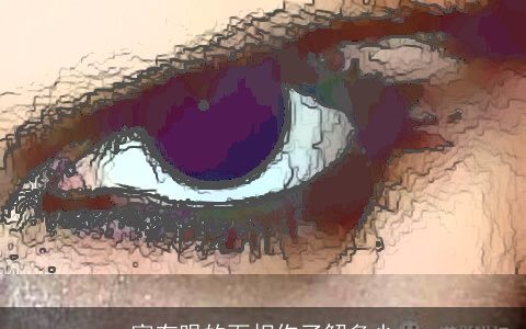 富有眼的面相你了解多少