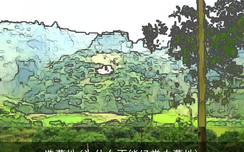 选墓地(为什么不能经常去墓地)