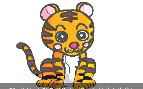 72属鼠什么颜色旺财(一黑一白是什么生肖)