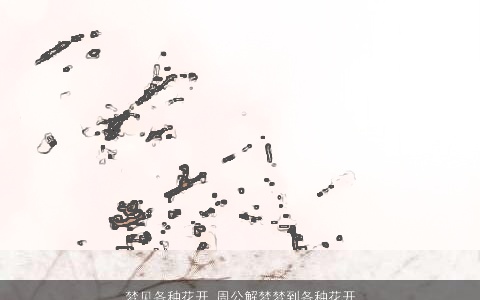 梦见各种花开_周公解梦梦到各种花开是什么意思_做梦梦见各种花开好不好