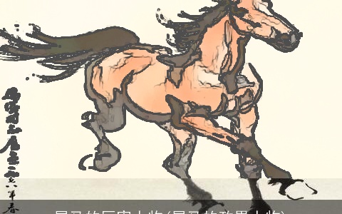 属马的厉害人物(属马的政界人物)