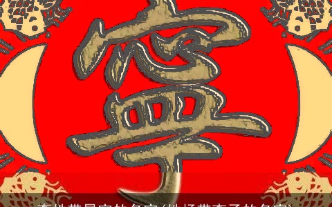 李姓带晨字的名字(姓杨带李子的名字)