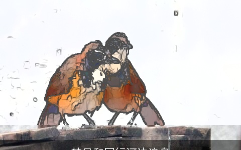 梦见和同行河边追鸟