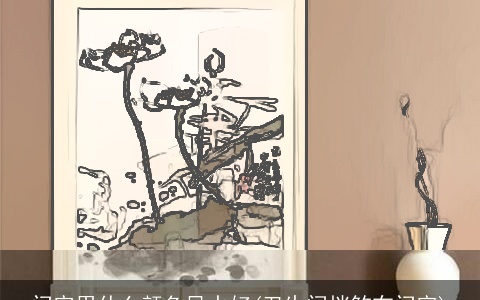 门帘用什么颜色风水好(卫生间挡煞布门帘)