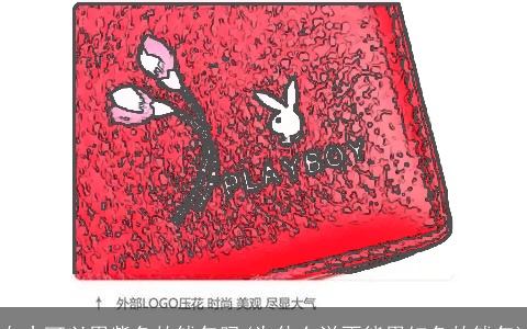 女士可以用紫色的钱包吗(为什么说不能用红色的钱包)