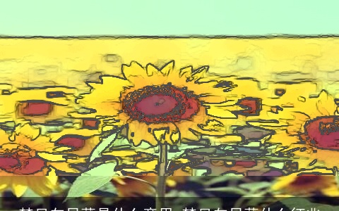 梦见向日葵是什么意思 梦见向日葵什么征兆