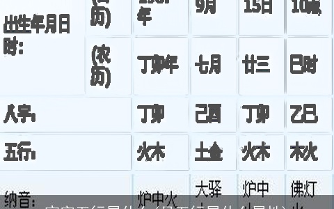 宸字五行属什么(月五行属什么属性)