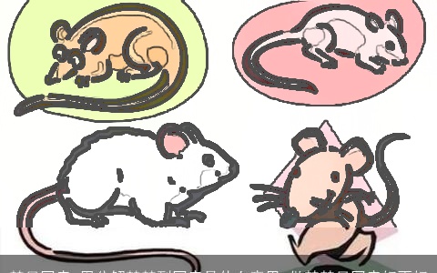 梦见同房_周公解梦梦到同房是什么意思_做梦梦见同房好不好