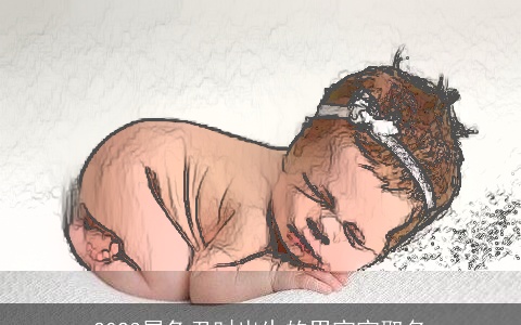 2023属兔丑时出生的男宝宝取名