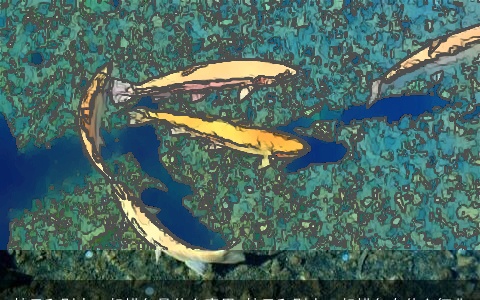 梦见和别人一起捞鱼是什么意思 梦见和别人一起捞鱼有什么征兆