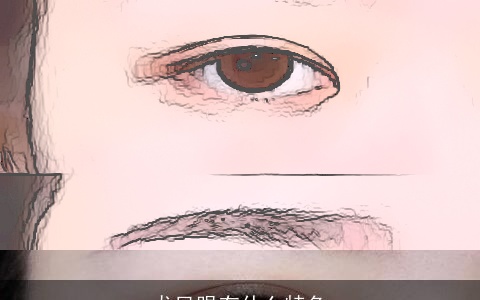 龙凤眼有什么特色