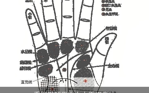 手相图解男人女人手相掌纹