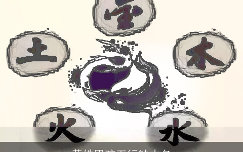 黄姓男孩五行缺木名