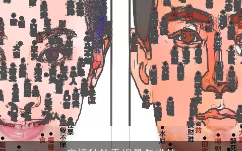 痴情种的手相是怎样的