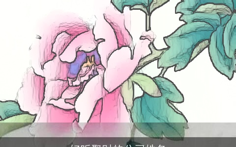 好听聚财的公司姓名