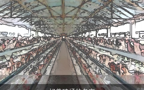 好养殖场的名字