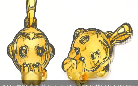 2016年猴适合戴什么(属猴的可以戴鼠的吊坠吗)