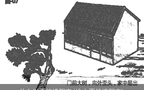 什么树不能进阳宅(榆木不能进阳宅)