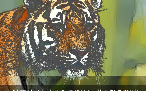 七叶莲对属虎放几个好(86属虎什么颜色旺财)