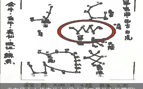 虎在风水上代表什么(风水虎口是什么位置图)