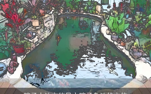 院子水池方位风水院子鱼池的方位