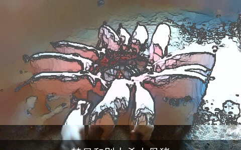 梦见和别人杀山母猪