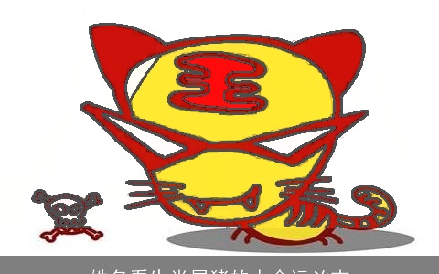 姓名看生肖属猪的人命运凶吉