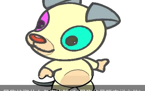 属狗的取什么名字比较好(属狗的最旺吉祥方位)