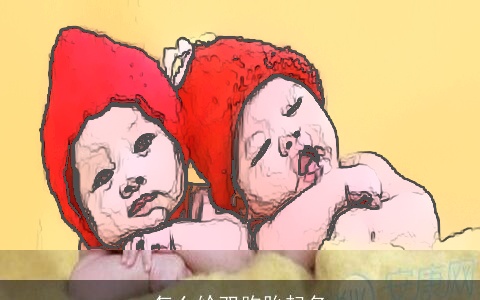 怎么给双胞胎起名