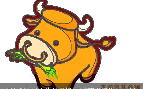 属牛佩戴什么生肖最好(属蛇家里摆什么生肖)