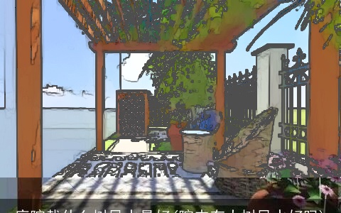 庭院栽什么树风水最好(院内有大树风水好吗)