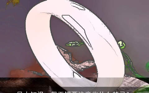 风水知识：戴玉镯要注意些什么禁忌？